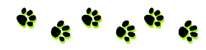Picture of pawprints