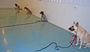 Workshop class