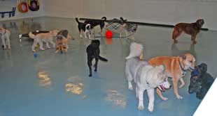 Photo of Day Care at New Facility