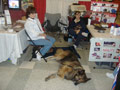 Pet Show Booth